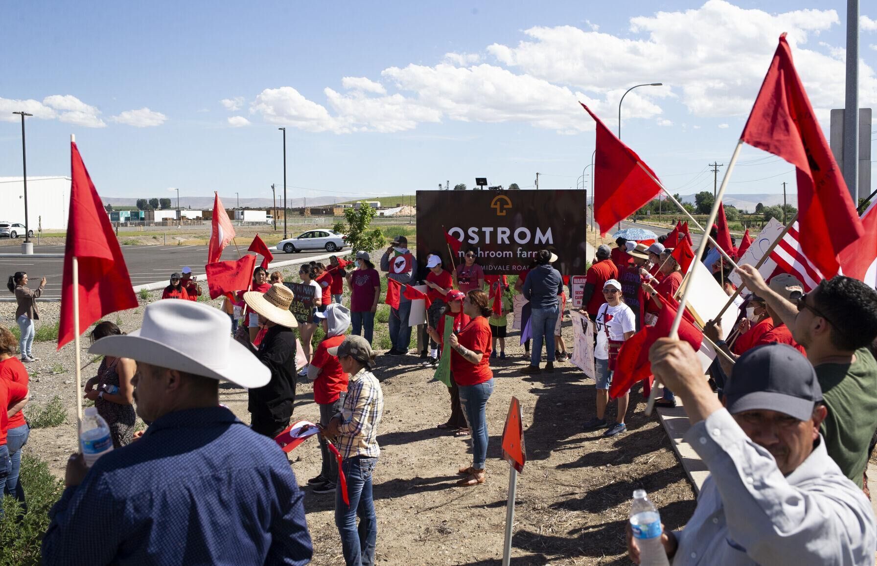 Trabajadores de Ostrom Mushroom Farm